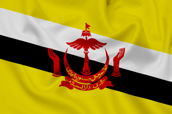 Brunei Darussalam Country Flag